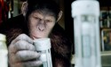 RISE OF THE PLANET OF THE APES